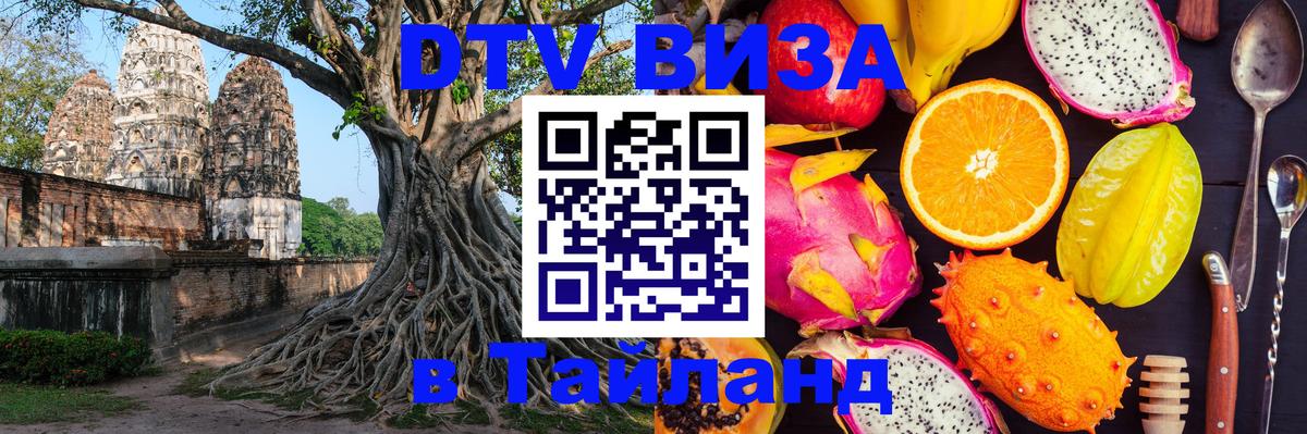 Оформление DTV визы под ключ: стоимость и тарифы, только загранпаспорт - 